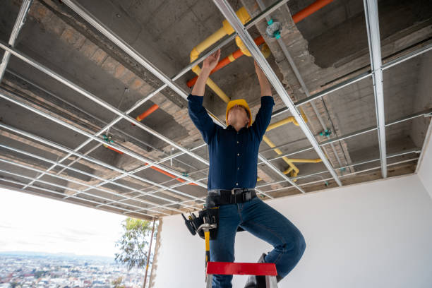 Best Same-Day Plumbing Service  in Eagle Grove, IA