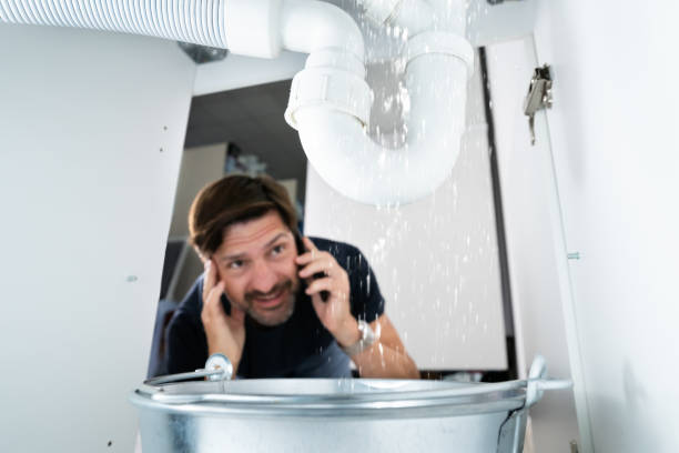 Best Residential Plumbing Services  in Eagle Grove, IA